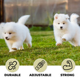 Kuber Industries Dog Chest Belt Harness with Adjustable Leash|Premium Demin Fabric|Metal Hooks |PDMGL-013-03| Comfortable Grip|Double Stitched Belt with Soft Padding |Black (Pack of 6)